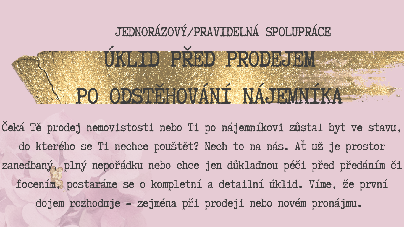 baner web (Web) (22)